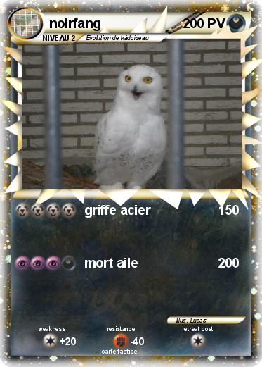 Pokemon noirfang
