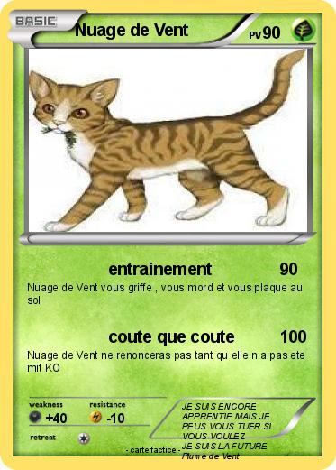 Pokemon Nuage de Vent