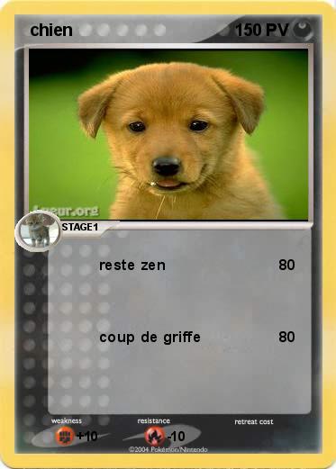 Pokemon  chien