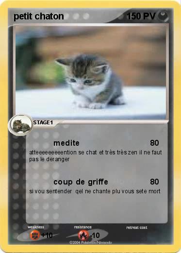 Pokemon petit chaton 