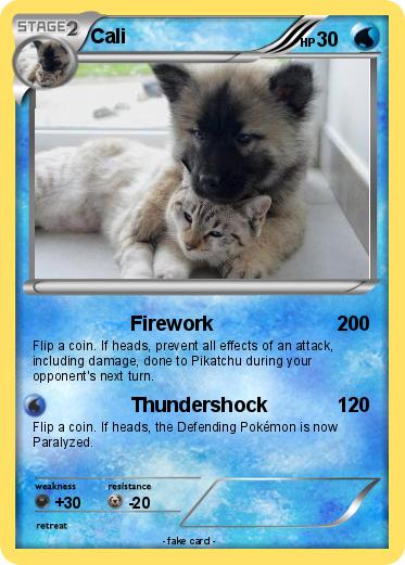 Pokemon Cali
