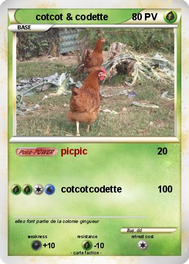 Pokemon cotcot & codette