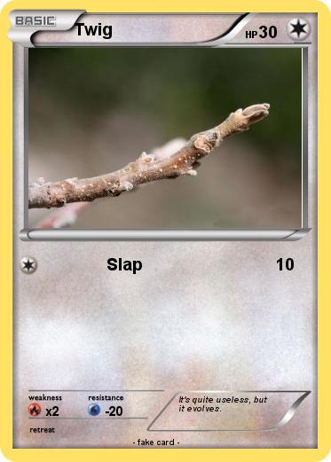 Pokemon Twig