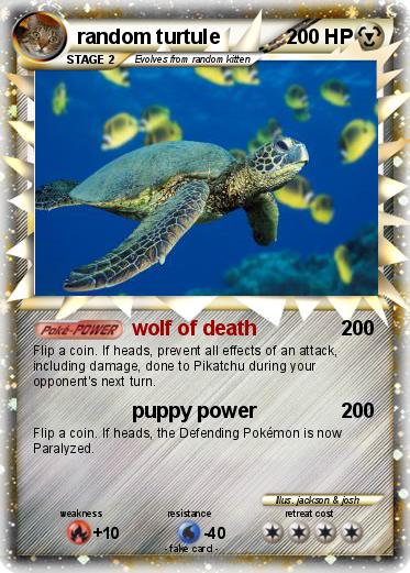 Pokemon random turtule