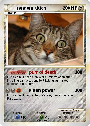 Pokemon random kitten