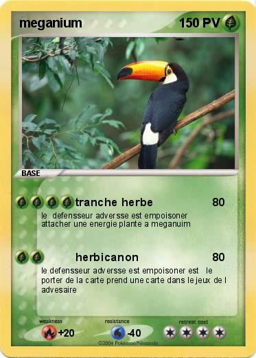 Pokemon meganium