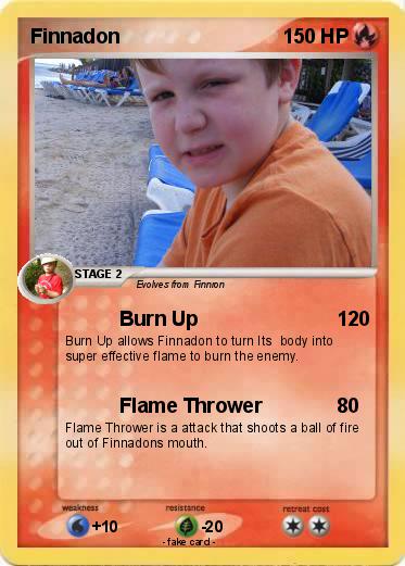 Pokemon Finnadon