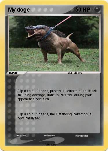 Pokemon My doge