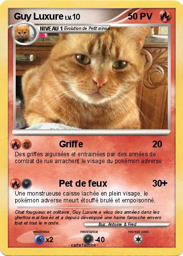 Pokemon Guy Luxure