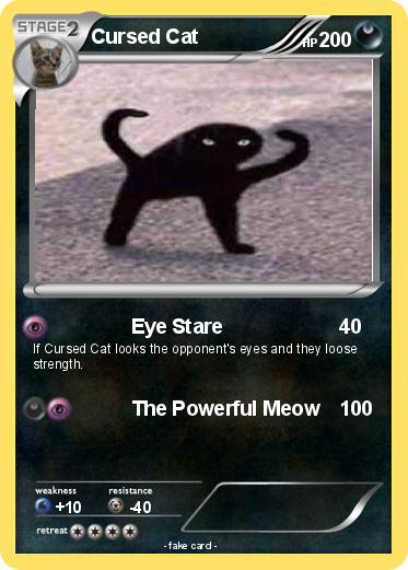 Pokemon Cursed Cat