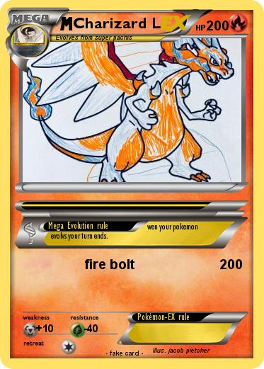 Pokemon Charizard L