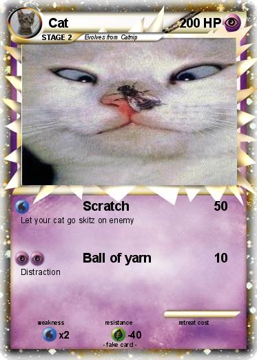 Pokemon Cat