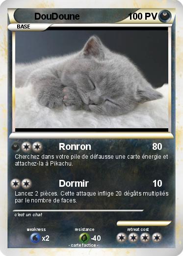 Pokemon DouDoune