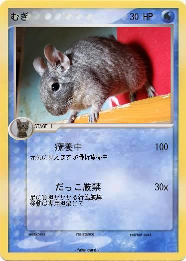 Pokemon むぎ