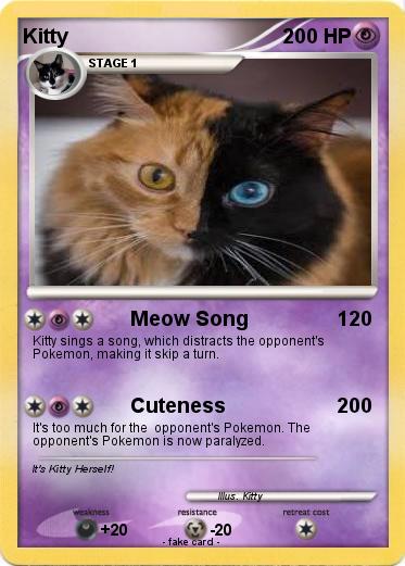 Pokemon Kitty
