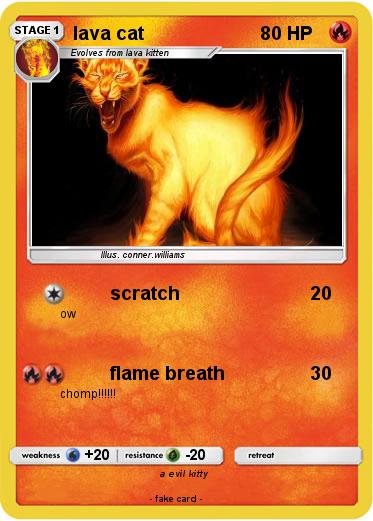 Pokemon lava cat