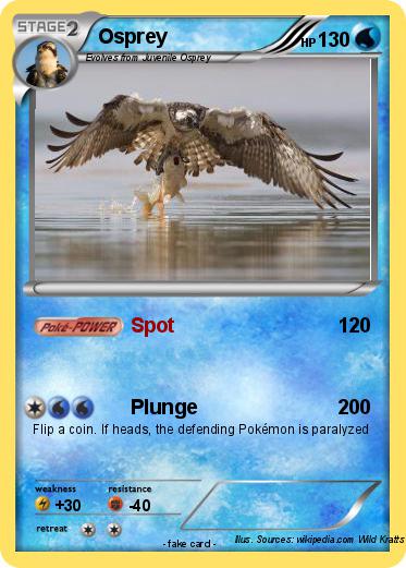 Pokemon Osprey
