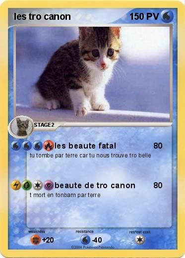 Pokemon les tro canon