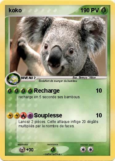 Pokemon koko