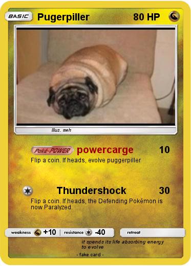 Pokemon Pugerpiller