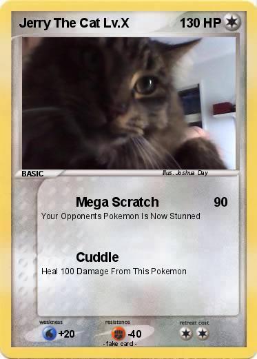Pokemon Jerry The Cat Lv.X