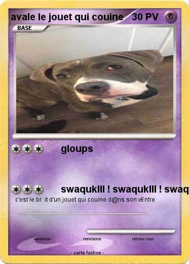 Pokemon avale le jouet qui couine