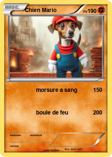 Pokemon Chien Mario