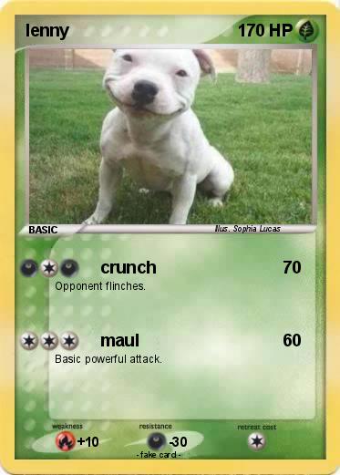 Pokemon lenny