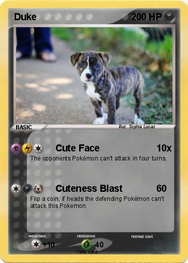 Pokemon Duke