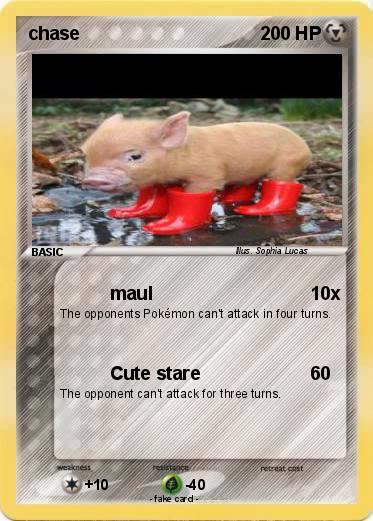 Pokemon chase