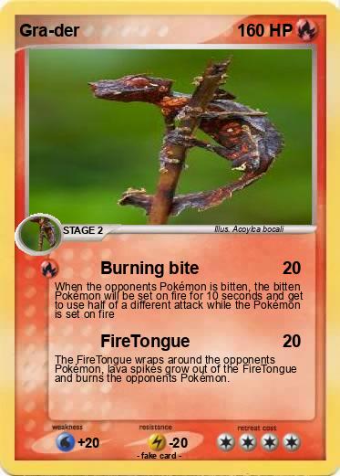 Pokemon Gra-der