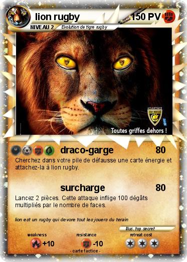 Pokemon lion rugby