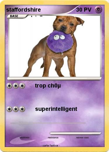 Pokemon staffordshire