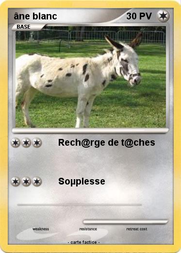 Pokemon âne blanc
