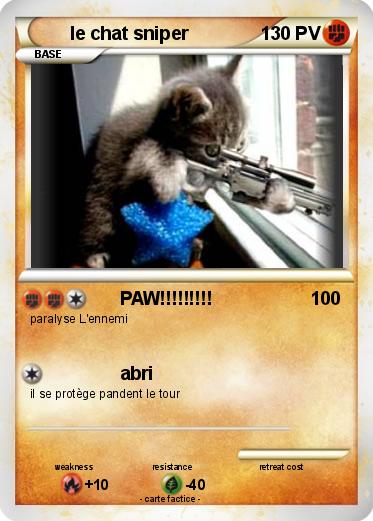 Pokemon le chat sniper