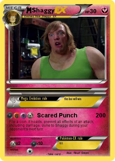 Pokemon Shaggy
