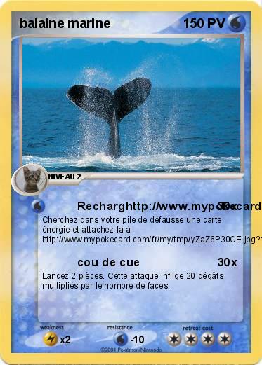 Pokemon balaine marine