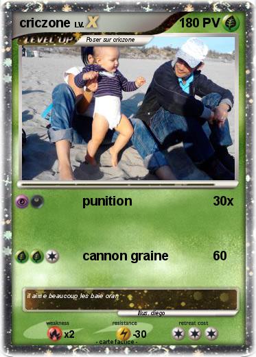 Pokemon criczone