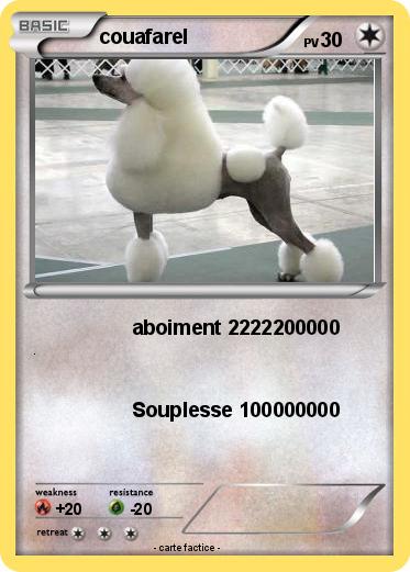 Pokemon couafarel