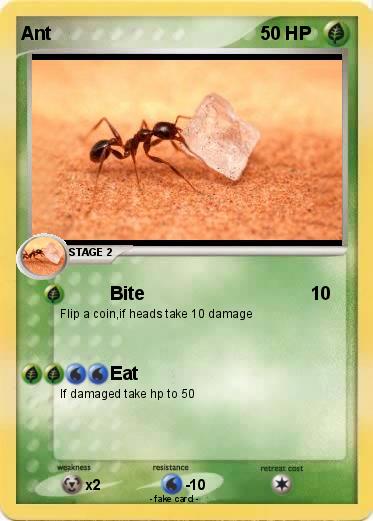 Pokemon Ant