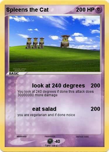 Pokemon Spleens the Cat