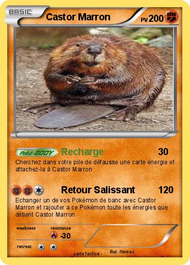 Pokemon Castor Marron