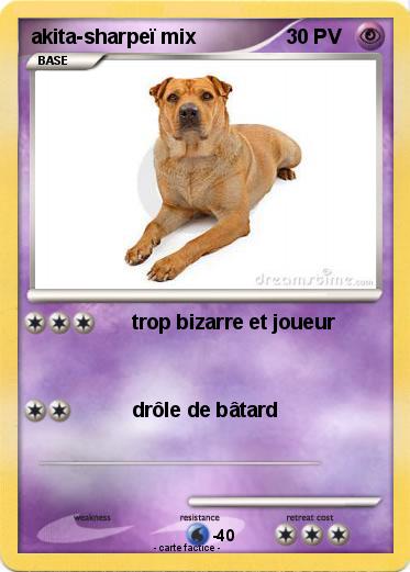 Pokemon akita-sharpeï mix