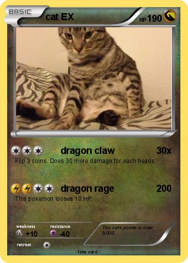Pokemon cat EX