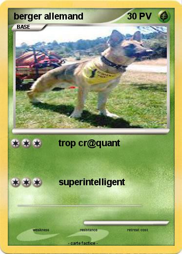 Pokemon berger allemand