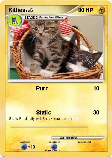 Pokemon Kitties