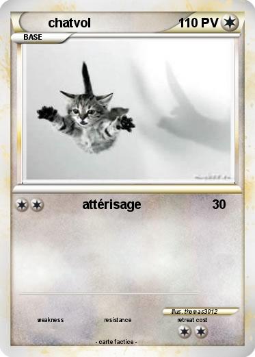 Pokemon chatvol