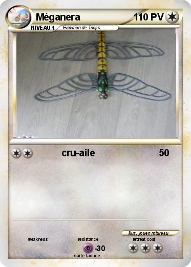 Pokemon Méganera