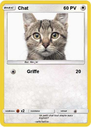 Pokemon Chat