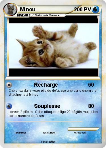 Pokemon Minou
